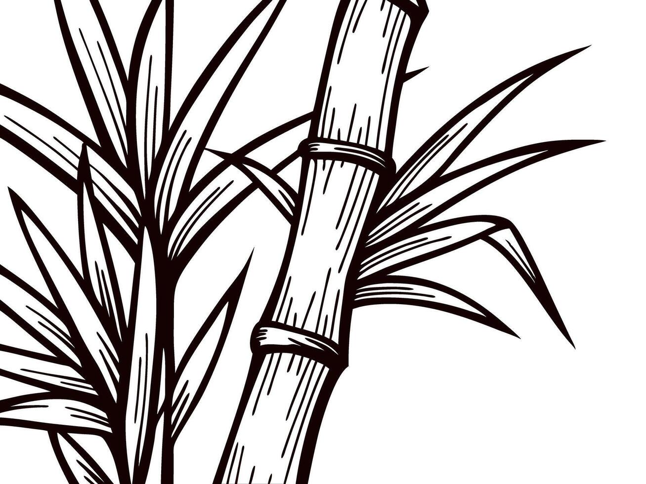 Black and white bamboo with detailed leaves and stalks vector
