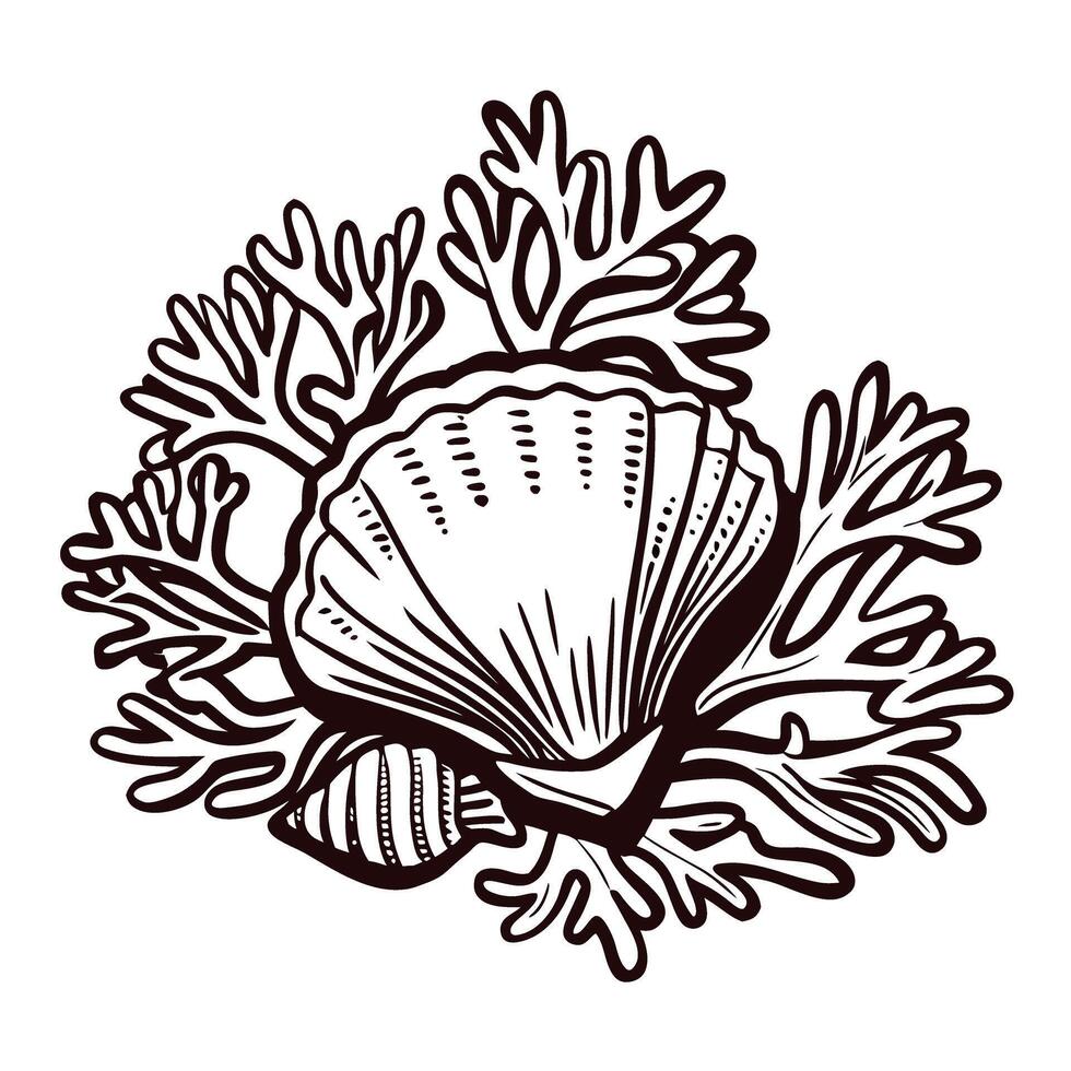 Seashell and coral in detailed monochrome design vector