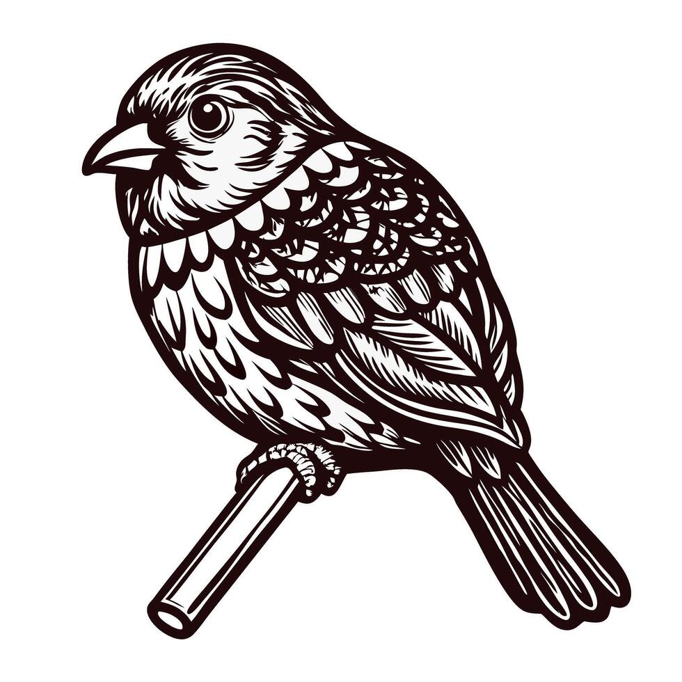 Intricate woodcut sparrow on branch vector