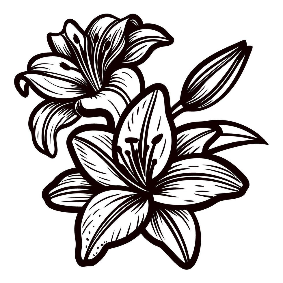 Black and white botanical of blooming lilies with intricate petal details vector