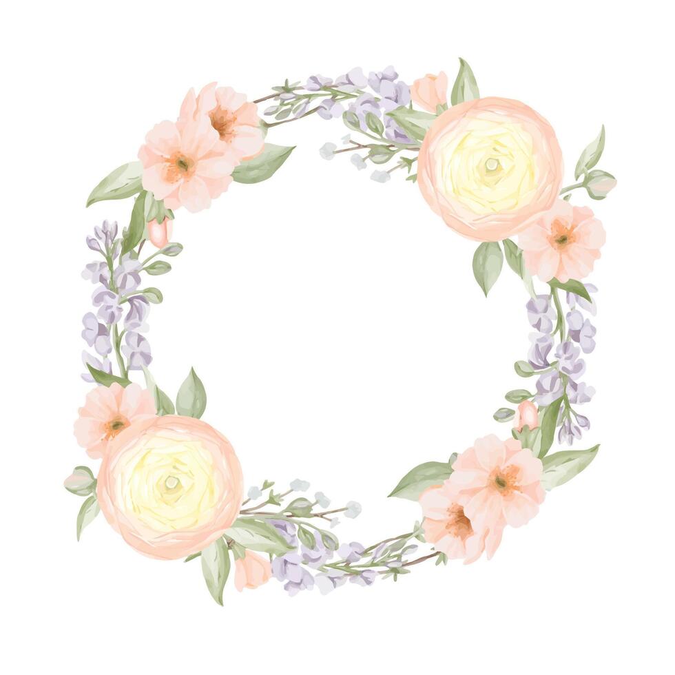 Spring Flowers Wreath, circle Frame, Border from Ranunculus and Freesia, Peach or Cherry, Sakura. Watercolor hand painted botanical illustration isolated on a white background. vector