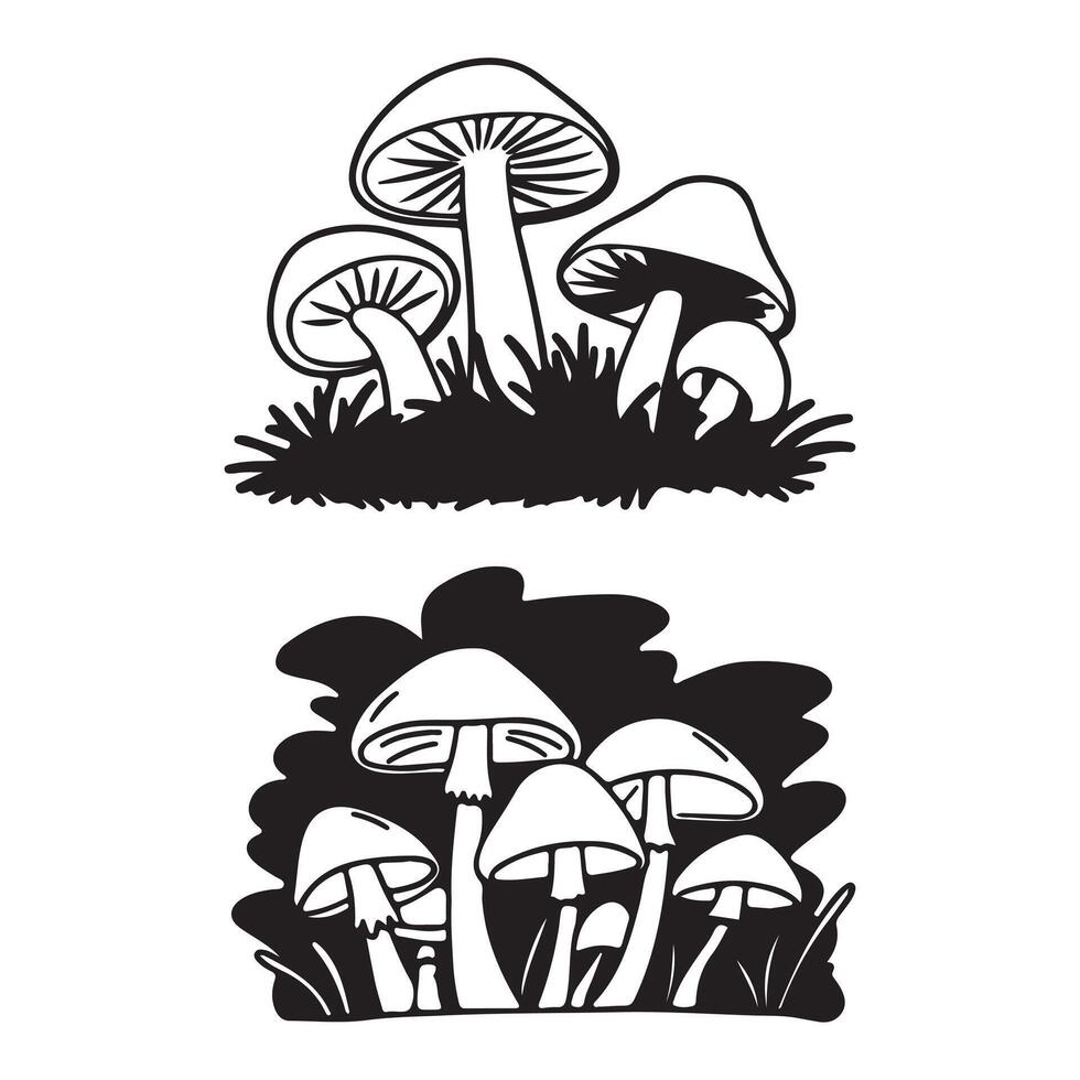 illustration of mushrooms vector