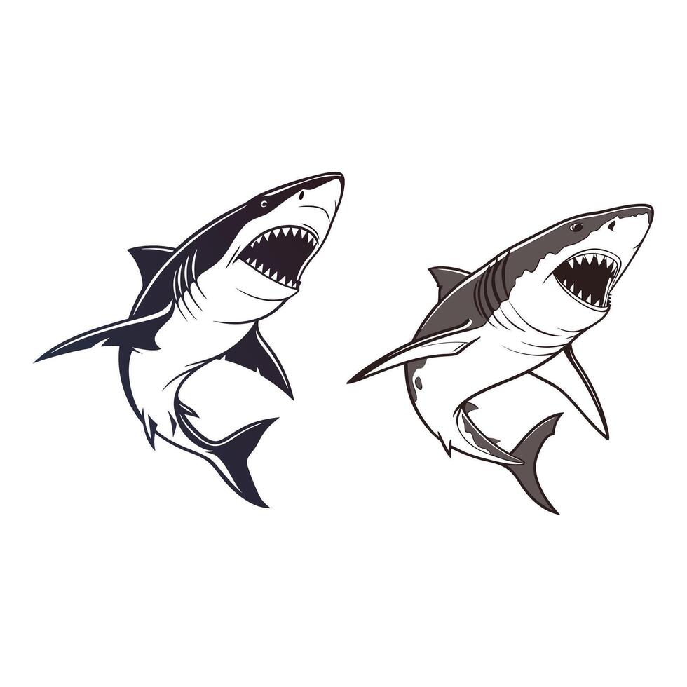 Great white shark with teeth vector