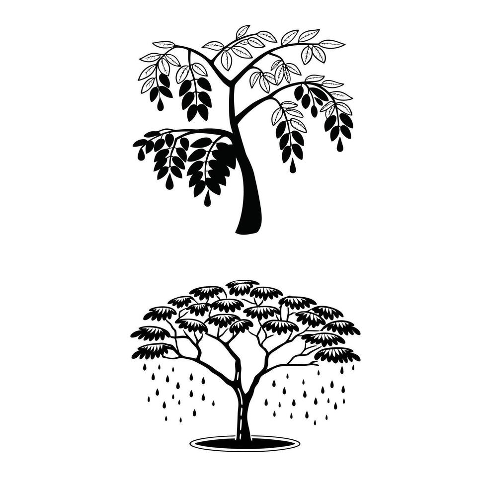 Green canopy of the rain tree vector