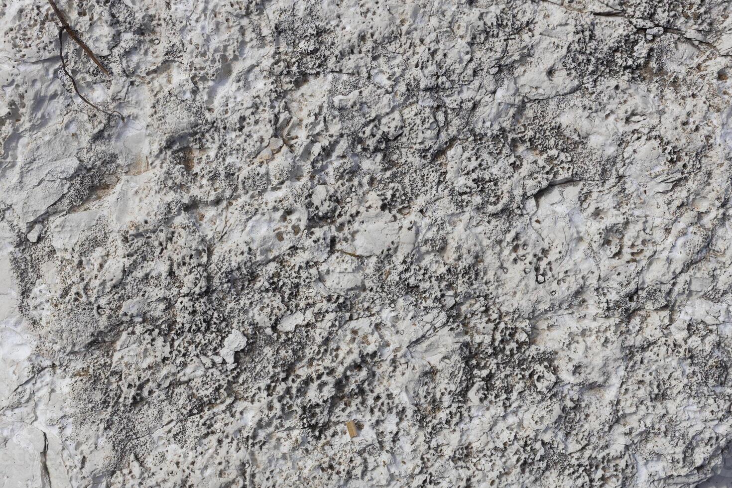 Porous Fossil Limestone Rock Surface photo