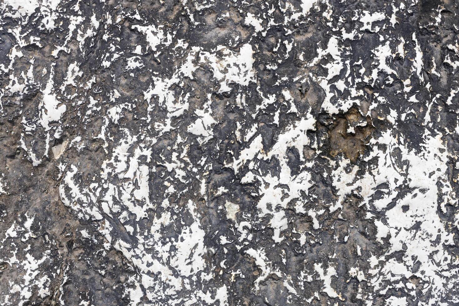 Dark Stone with Irregular White Mineral Layers photo