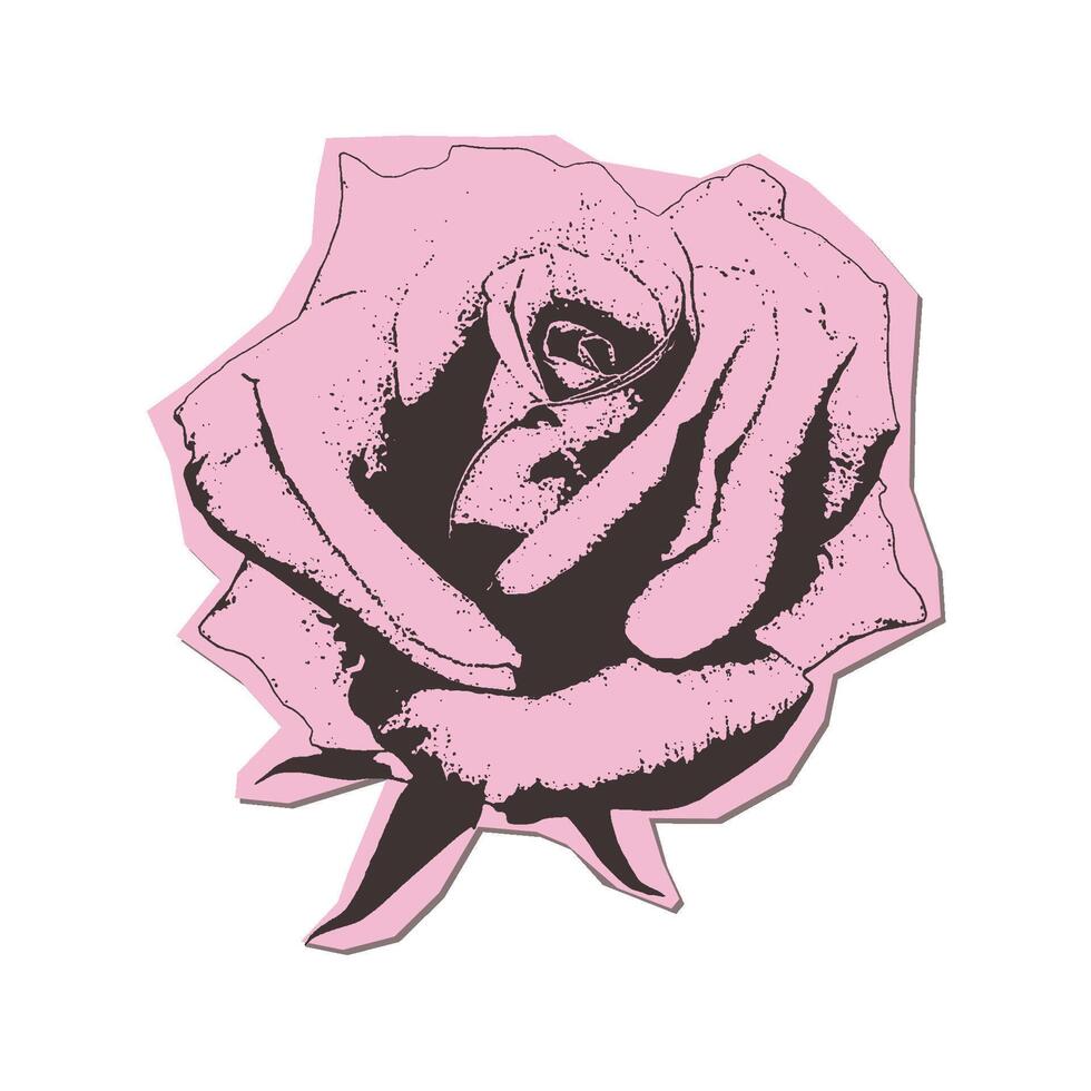 A rose torn out paper sticker with a retro photocopy effect. Stippling technique. Grungy Texture. illustration. vector