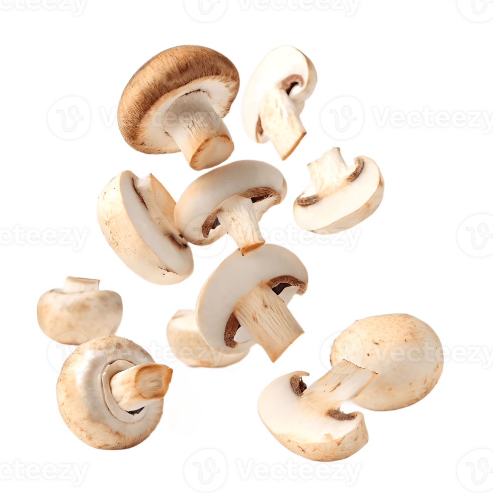 Falling Sliced Mushrooms in Studio Lighting Transparent Background png