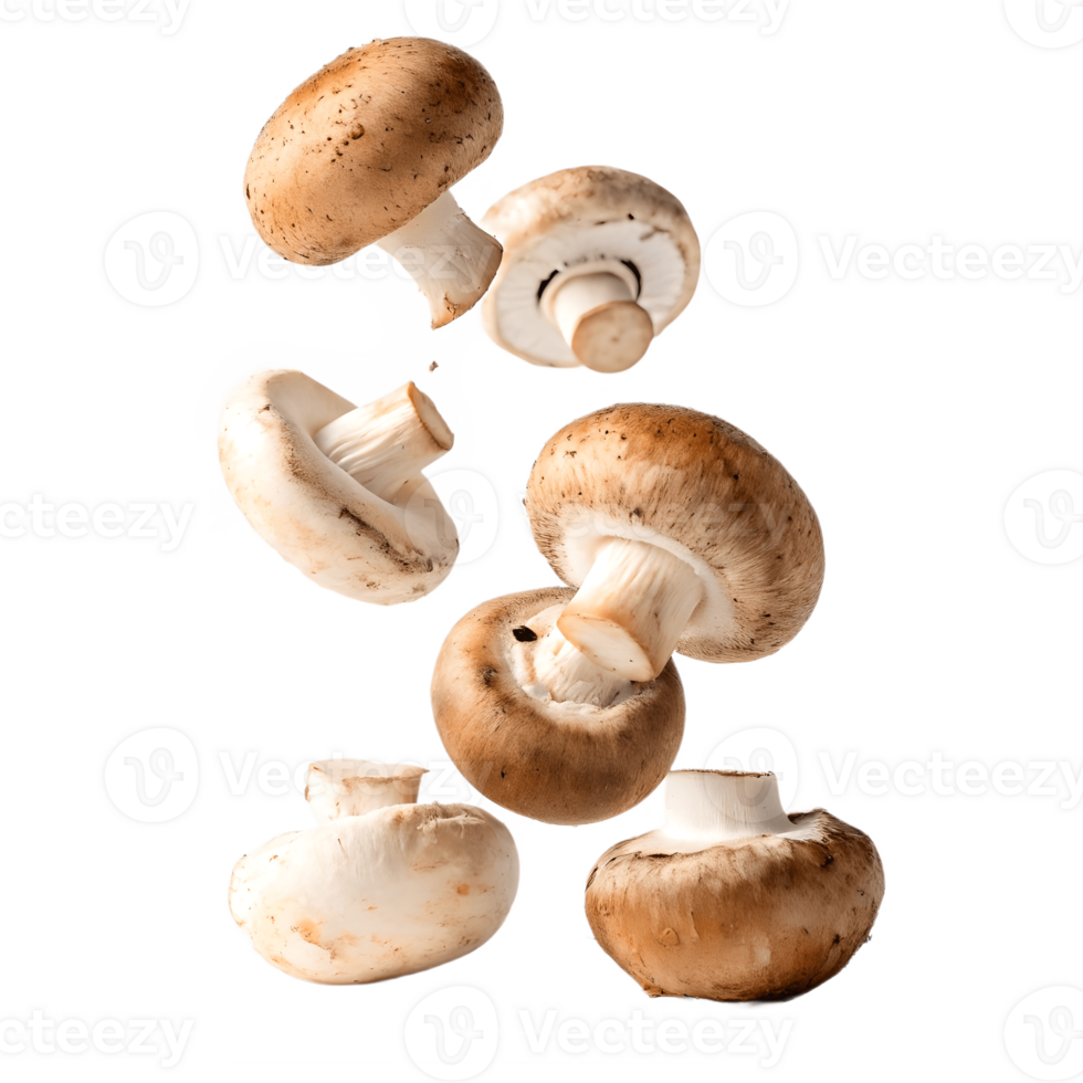 Falling Mushrooms Studio Shot Transparent Background mushroom png