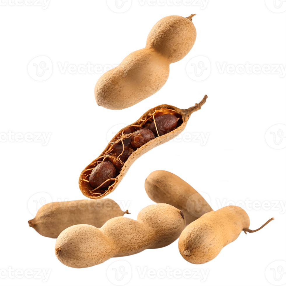 Falling Tamarind Pods in Studio Lighting Transparent Background png