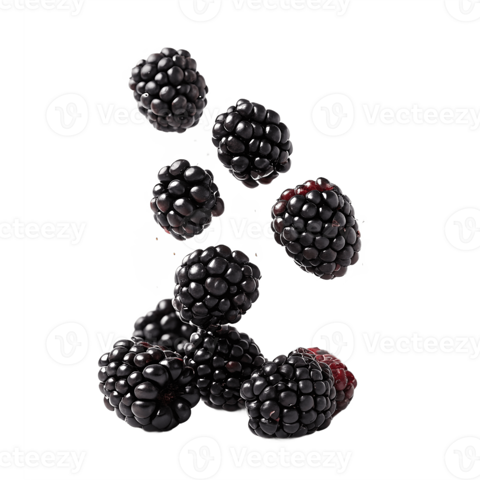 Falling Blackberries Studio Shot Transparent Background ripe png