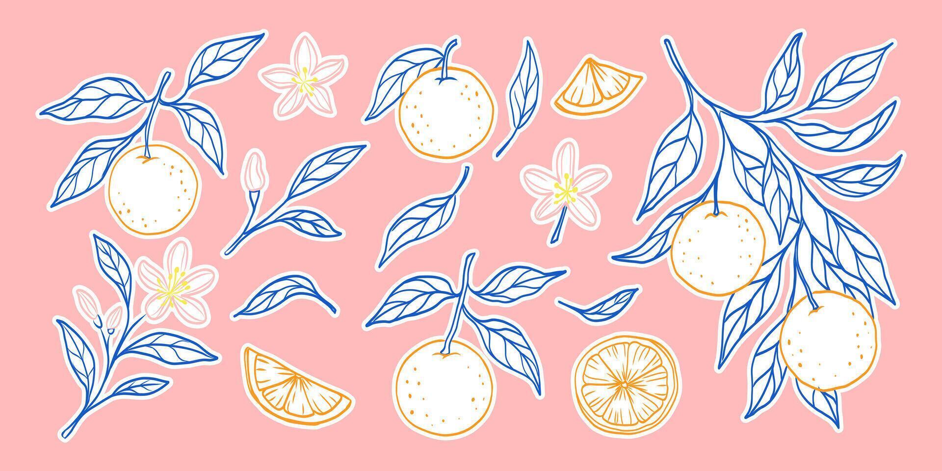 A pink background with a blue and yellow design of oranges and leaves. The oranges are scattered throughout the design, with some being larger and others smaller vector