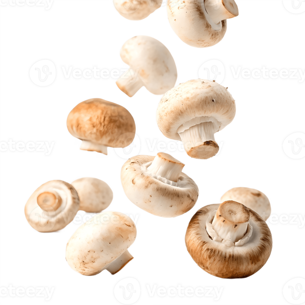 Falling Mushrooms Studio Shot Transparent Background white png