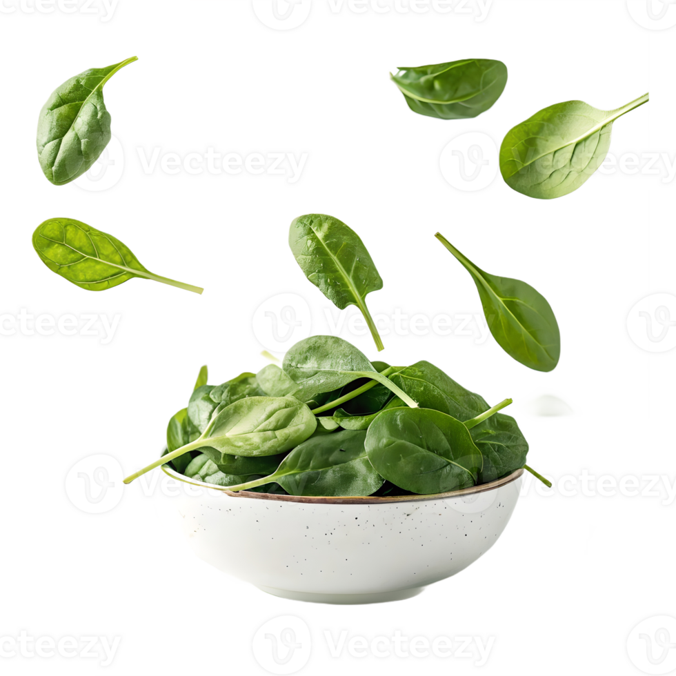 Fresh Spinach Falling into Bowl Transparent Background organic png