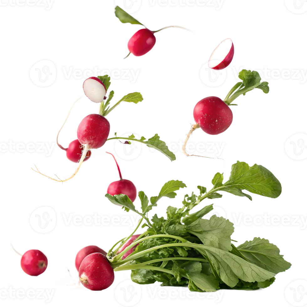 Fresh Radishes Falling on Transparent Background png
