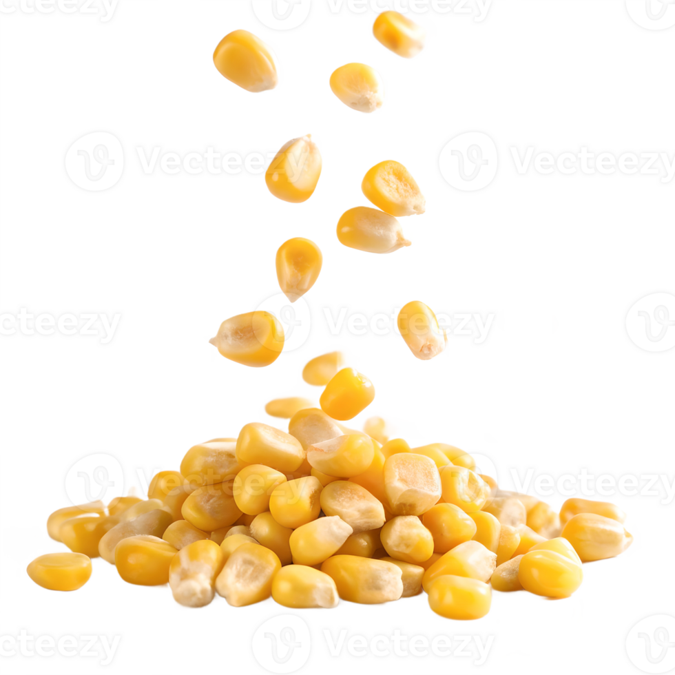 Falling Corn Kernels on Transparent Background png