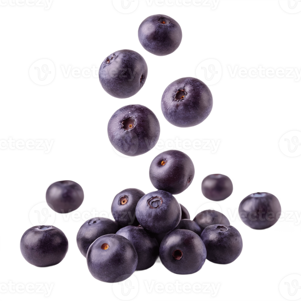 Fresh Acai Berries Falling and Stacked on Transparent Background png