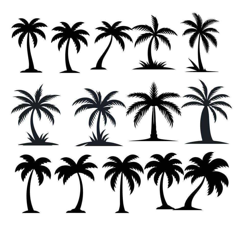 Palm Tree Silhouettes and Illustrations Set vector