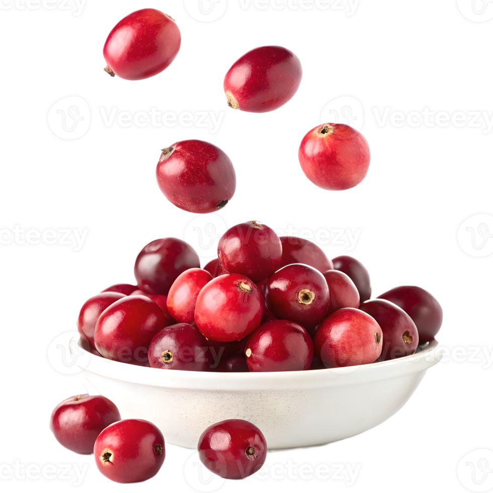 Cranberries Falling into Bowl Transparent Background png