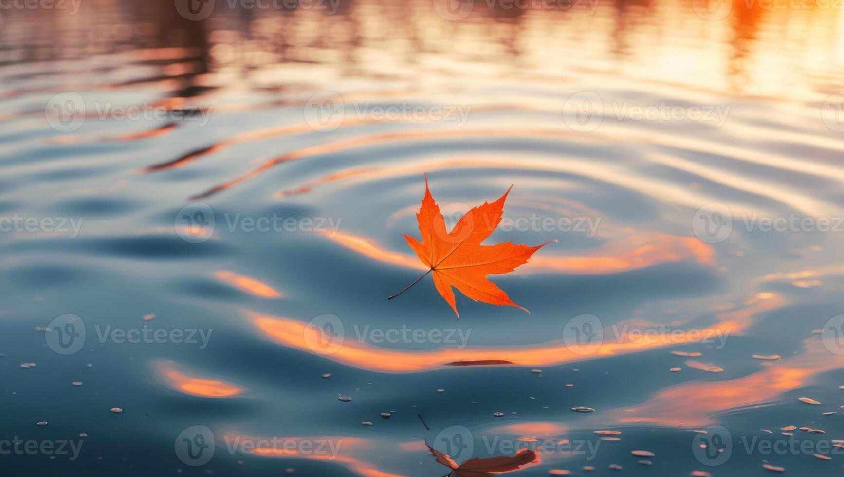 Floating Orange Maple Leaf Creates Ripples on Reflective Water Surface photo