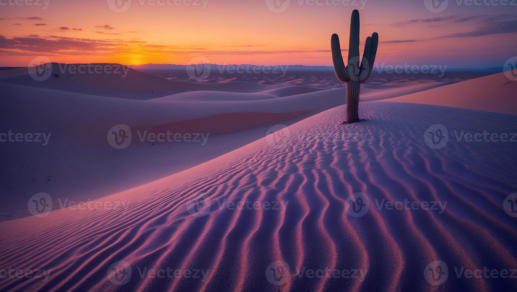 A cactus stands alone in the desert at sunset photo