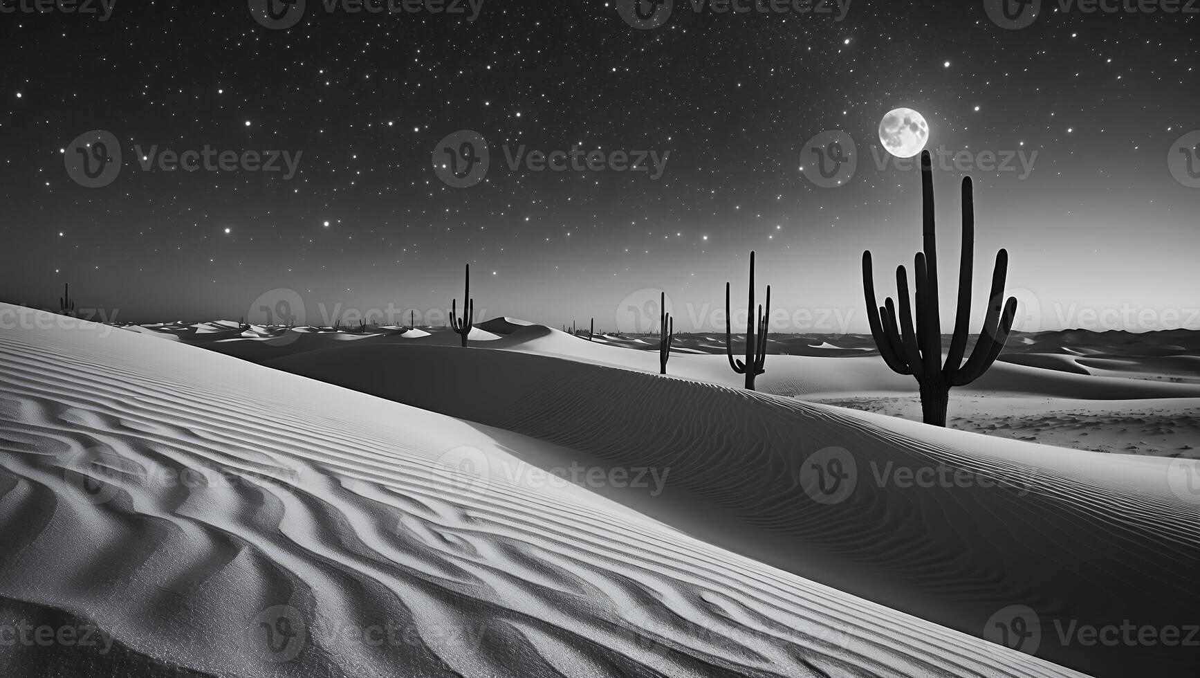 Cactus at Night in Desert Under Moon photo