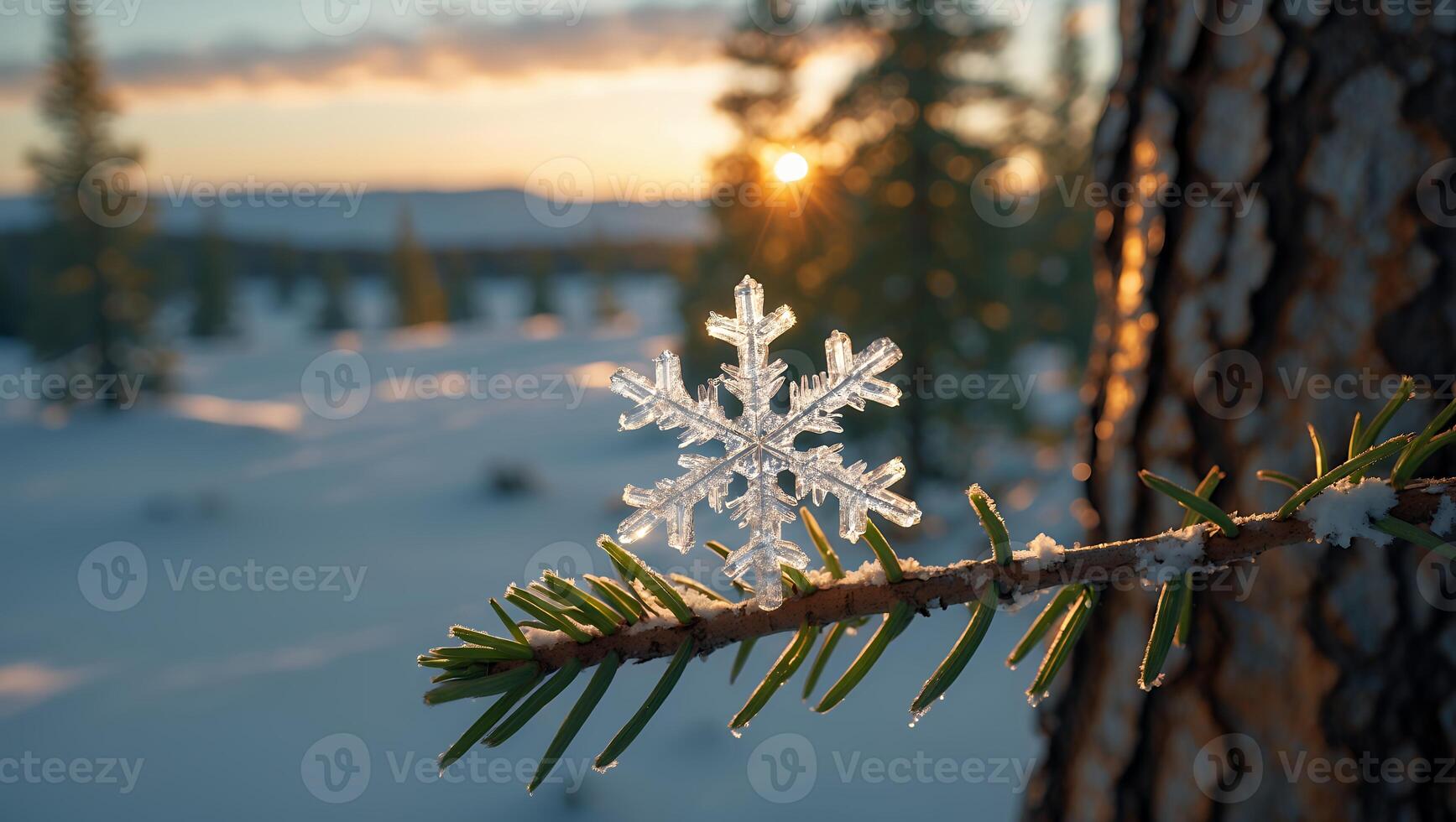 Snowflake on Pine Branch at Sunset in Winter Landscape photo