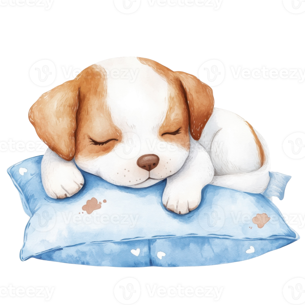 Puppy sleeping on pillow on transparent background. png