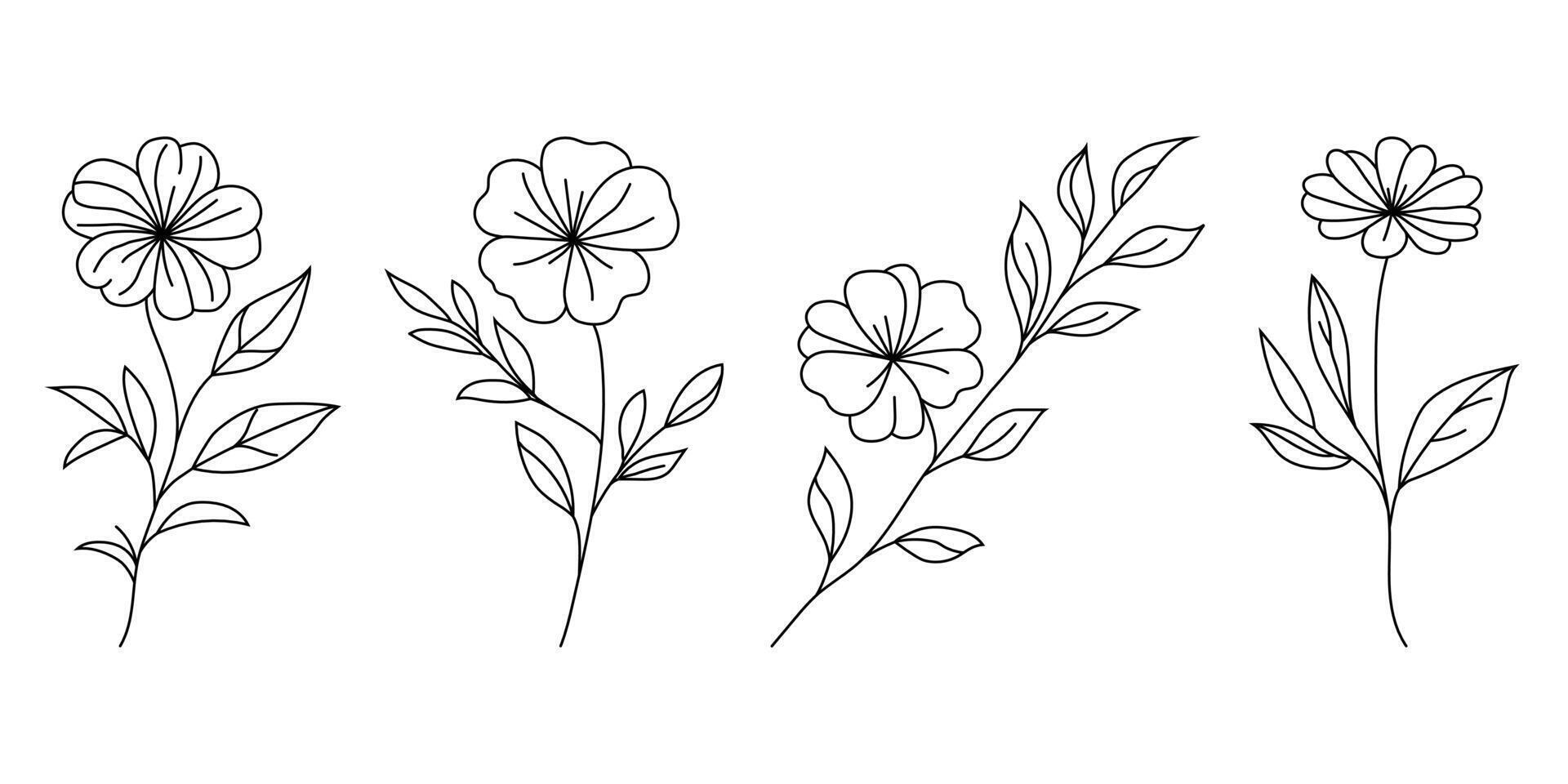Collection of Elegant Floral Line Art Illustrations vector