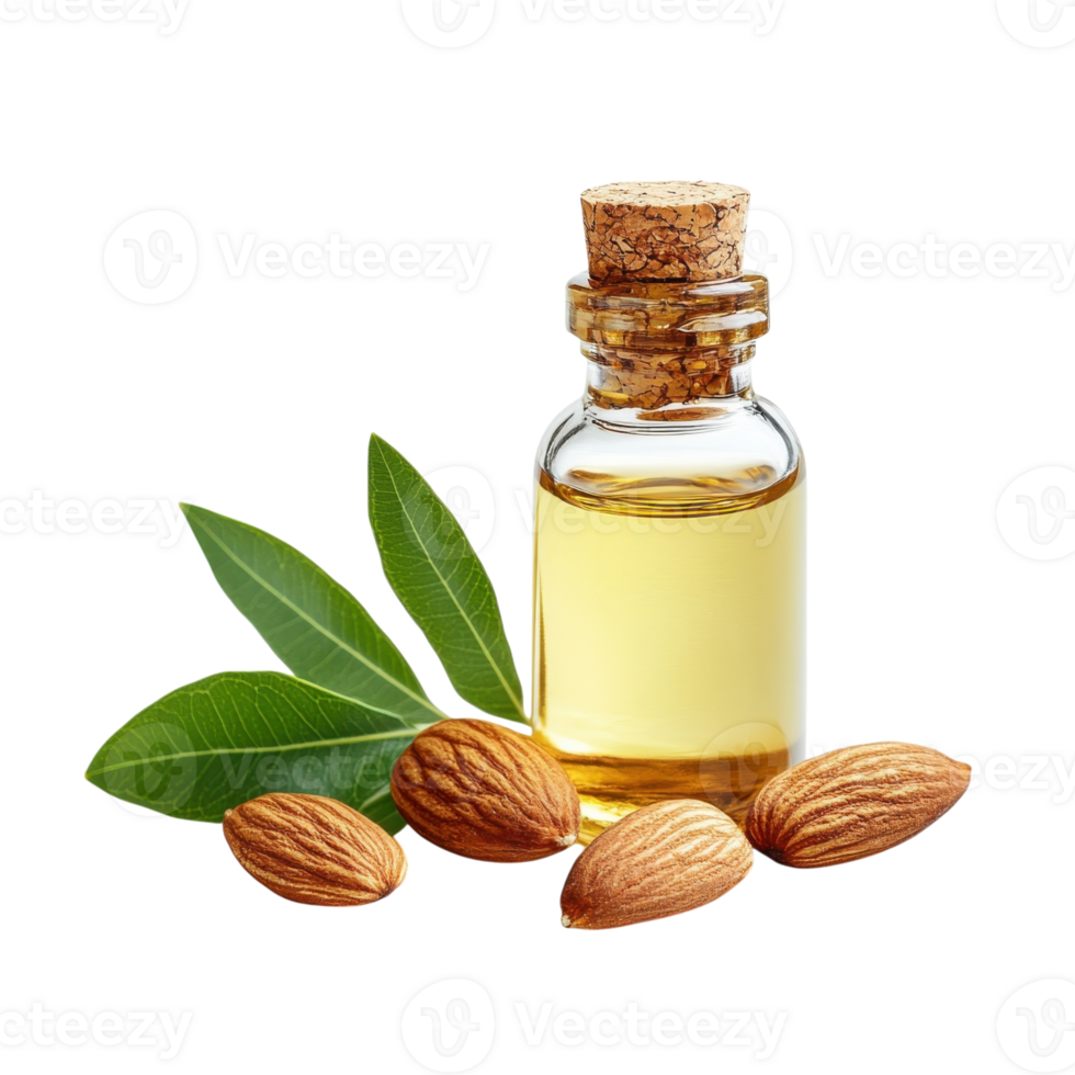 Almond oil and almonds transparent background. png