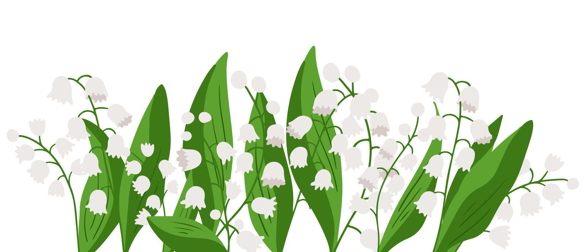 White lily of the valley flowers with green leaves on a white background. Delicate spring floral symbolizing purity, renewal and tenderness vector