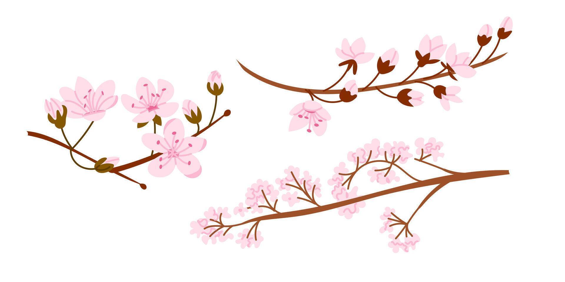 Pink sakura flowers blooming on delicate brown branches in a minimalist composition. This image symbolizes spring, renewal and the fleeting beauty of nature vector