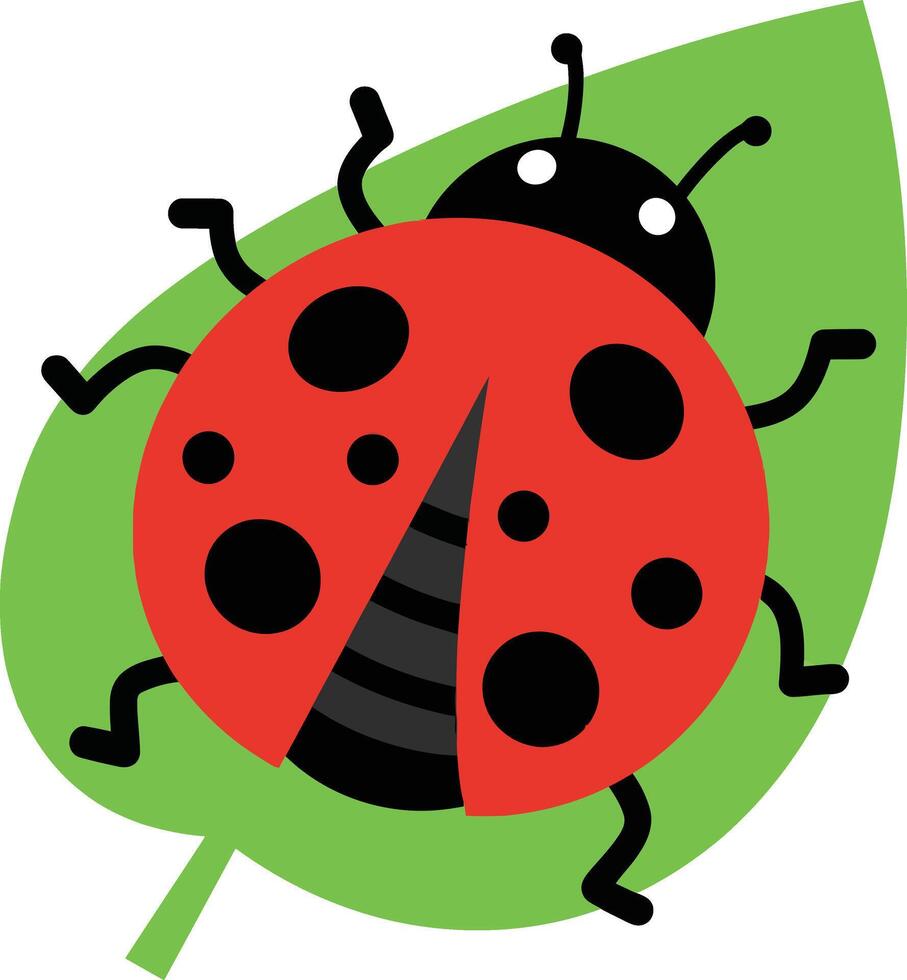 Ladybug on green leaf simple illustration in flat style for nature and insect themes vector