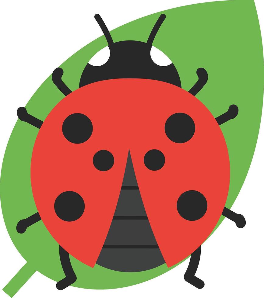 Ladybug insect with red spotted wings sitting on green leaf in simple illustration style vector