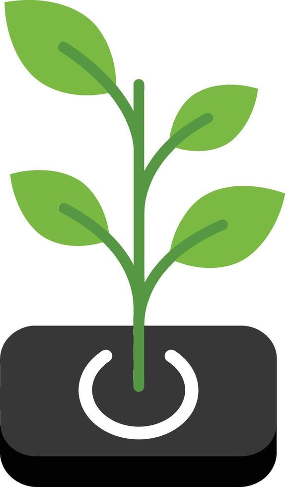 Green plant sprout growing from a black square base symbolizing growth and sustainability illustration vector