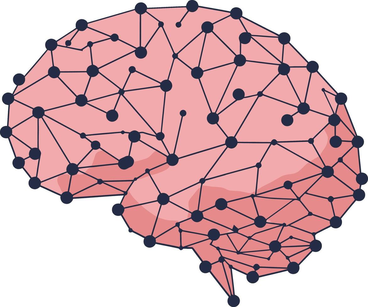 Human Brain with Neural Network Connections Illustration Showing Cognitive Network Structure and Brain Activity vector