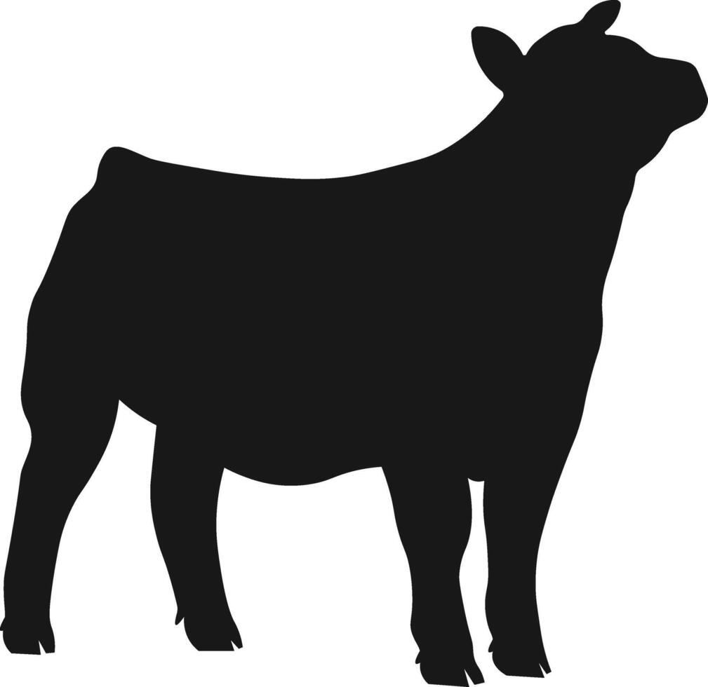 Show Steer Silhouette, Cattle Show Silhouette vector
