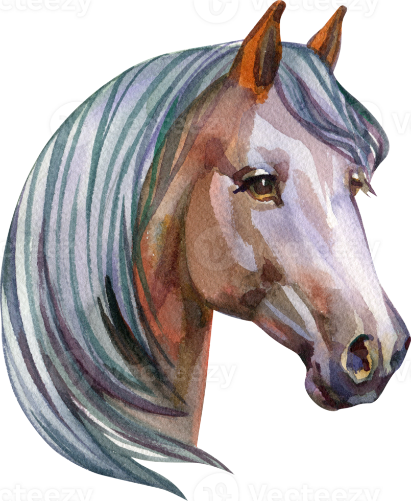 Watercolor Horse Farm Animal Portrait Hand Painted Illustration png