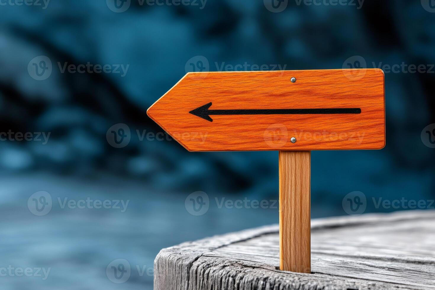 Wooden sign pointing left on a tree trunk with blurry background photo