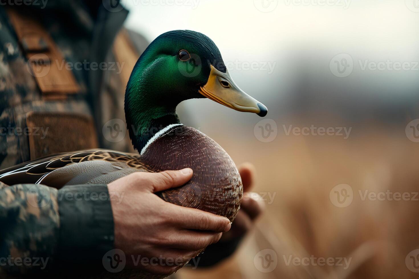 Hunter holding a dead mallard duck after hunting trip photo