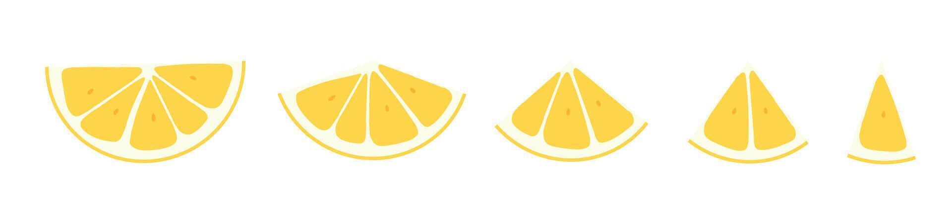 Lemon slices arranged in a creative layout on a white background vector