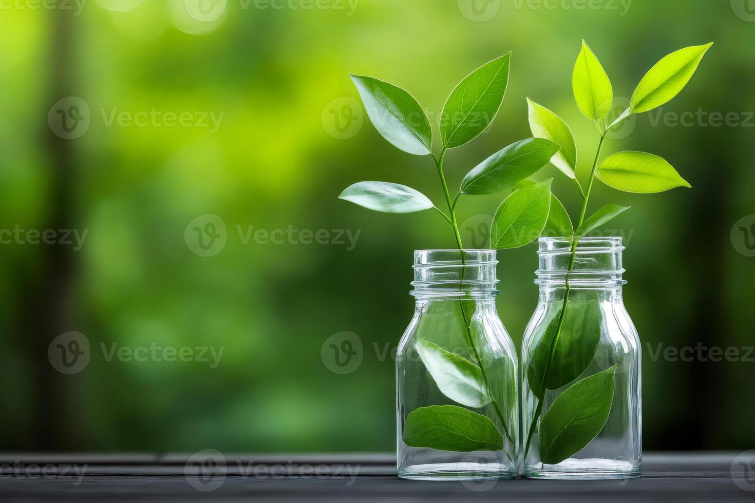 Growing green sprouts in glass bottles symbolizing environmental conservation photo