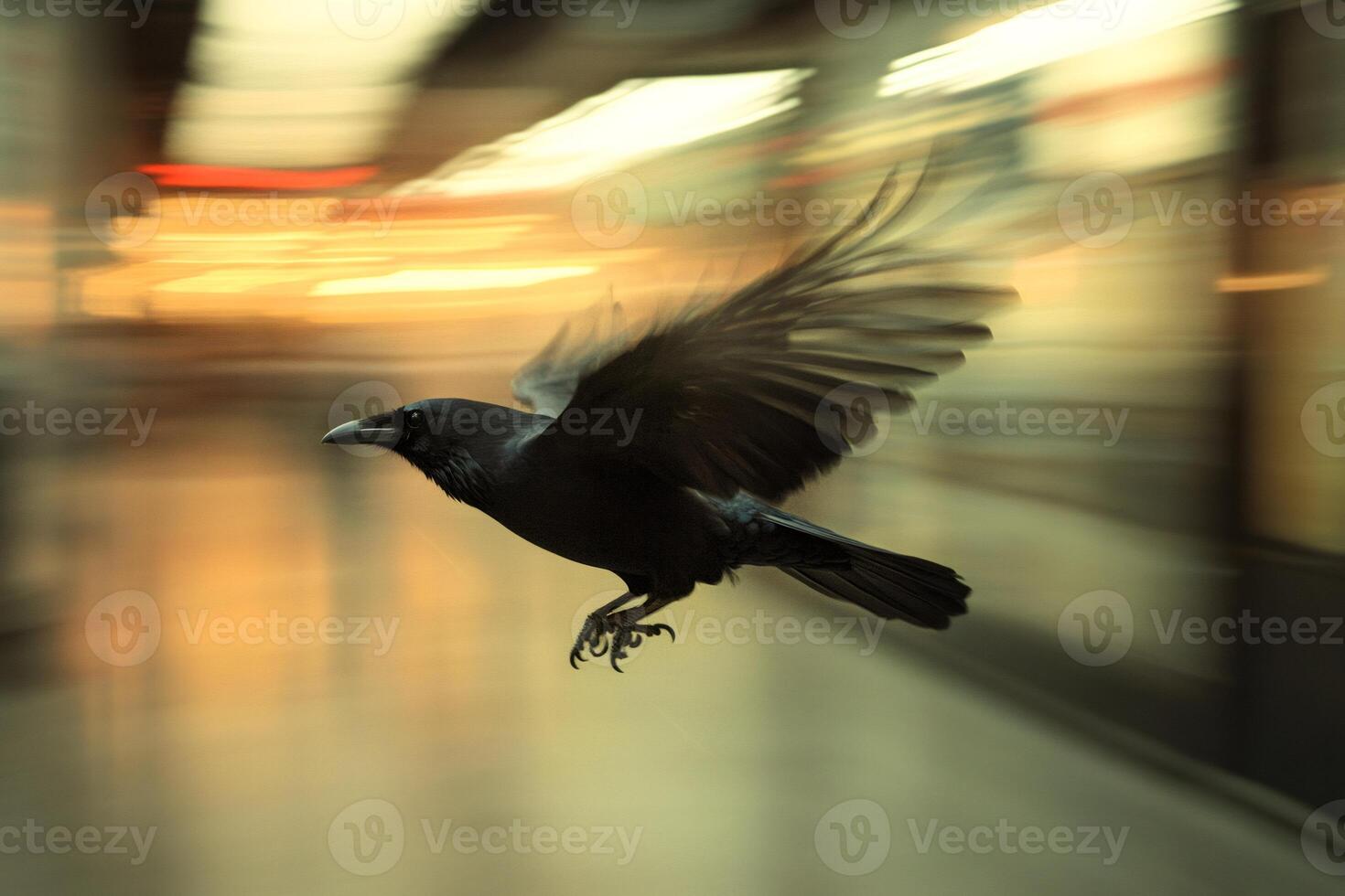 Black crow flying in blurred subway station interior photo