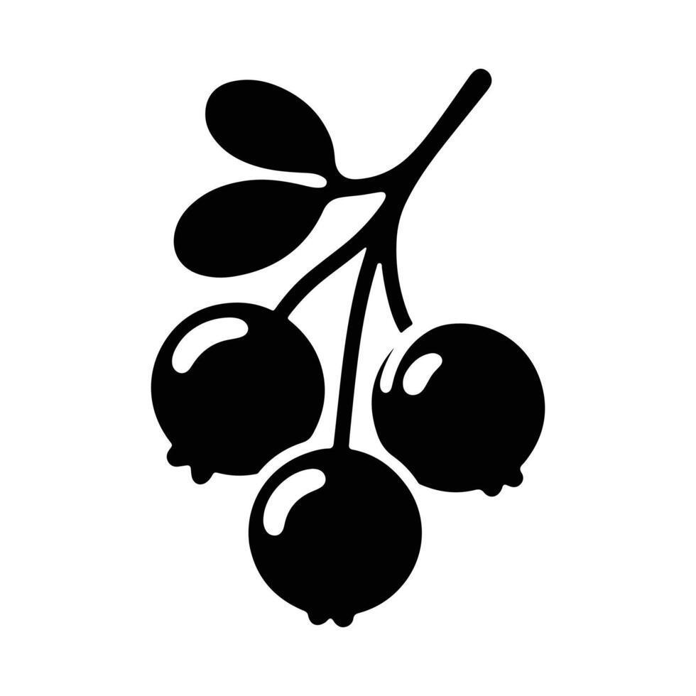 Organic Cranberry Harvest Sketch vector