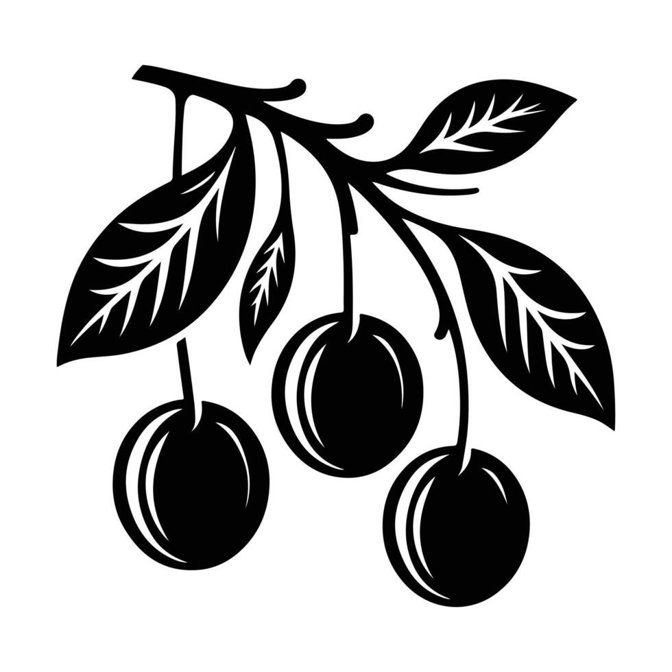 Juicy Plum Design for Summer and Harvest Themes vector