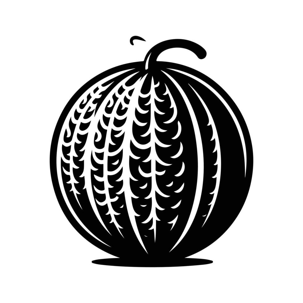 Melon Half Drawing Eco Food Concept vector