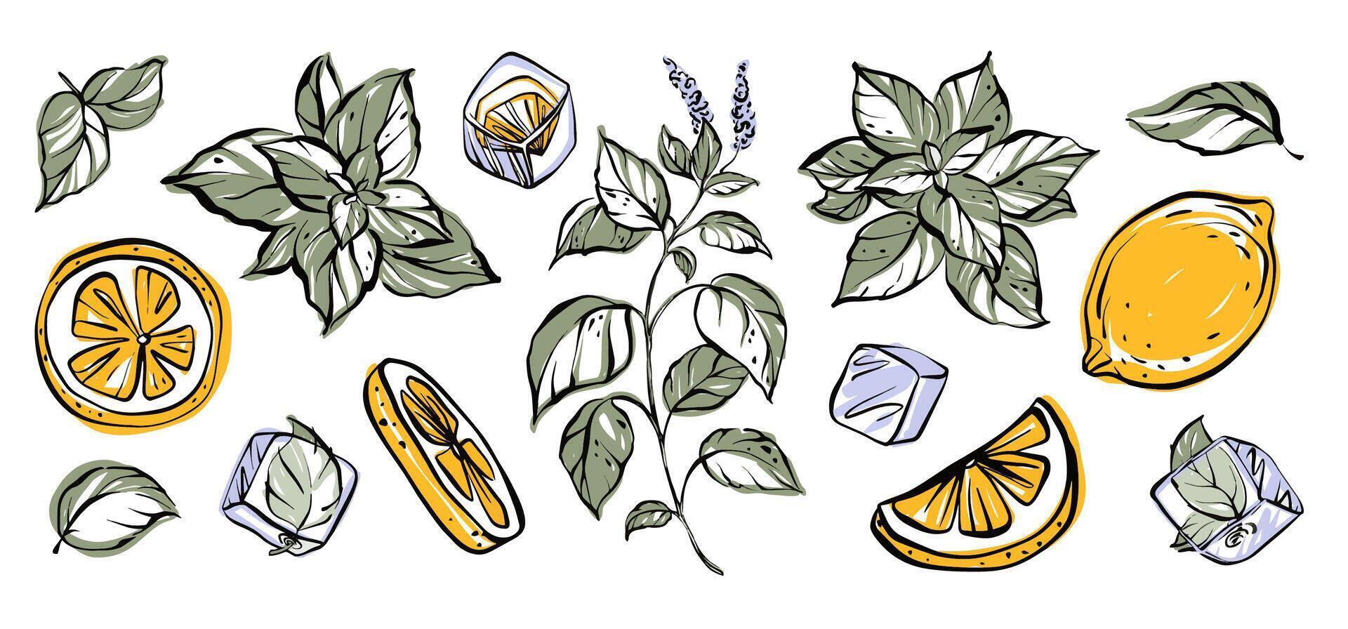 Refreshing summer clipart set with mint leaves citrus slices and ice cubes vector