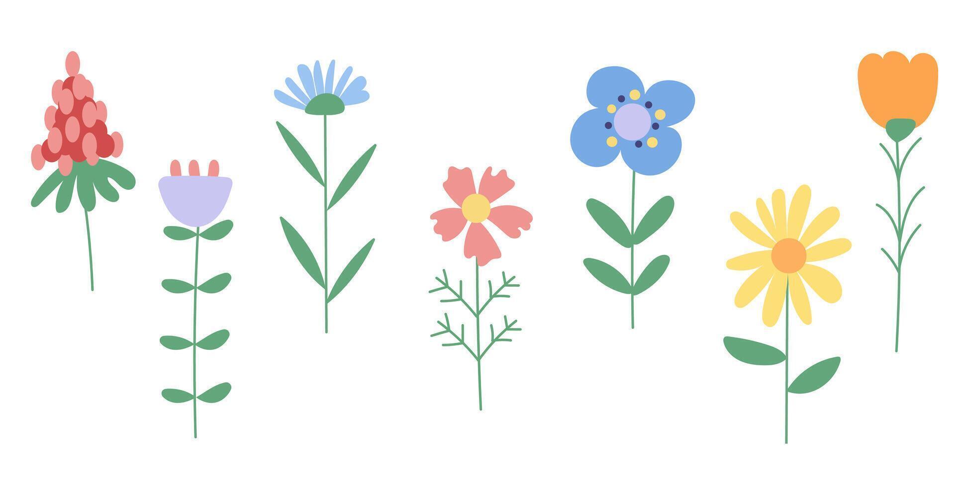 Set with minimalistic wild flowers. Simple flowers set. vector