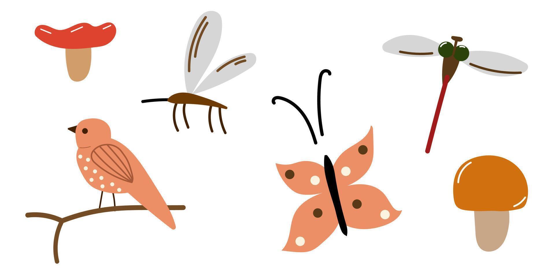 Set of forest insects, mushrooms and bird. vector