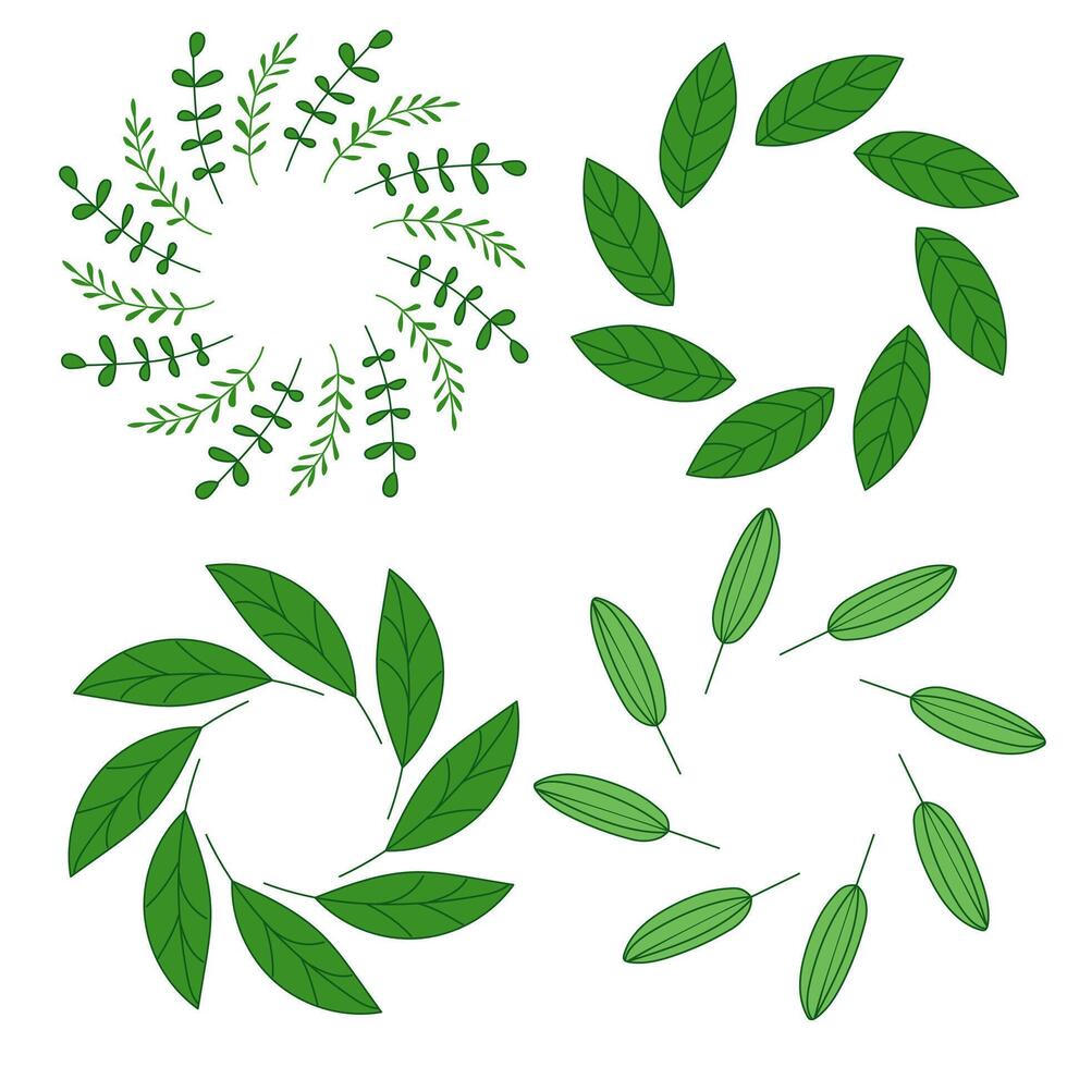 Set of green wreaths. Green leaves. vector